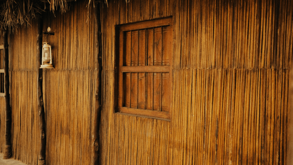 image of a bamboo