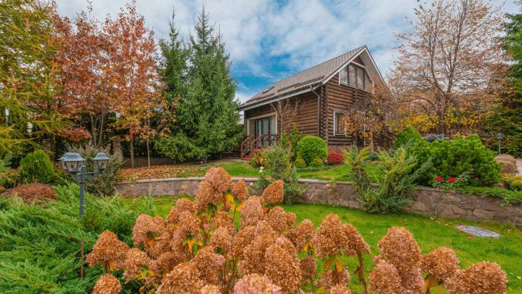 a house garden