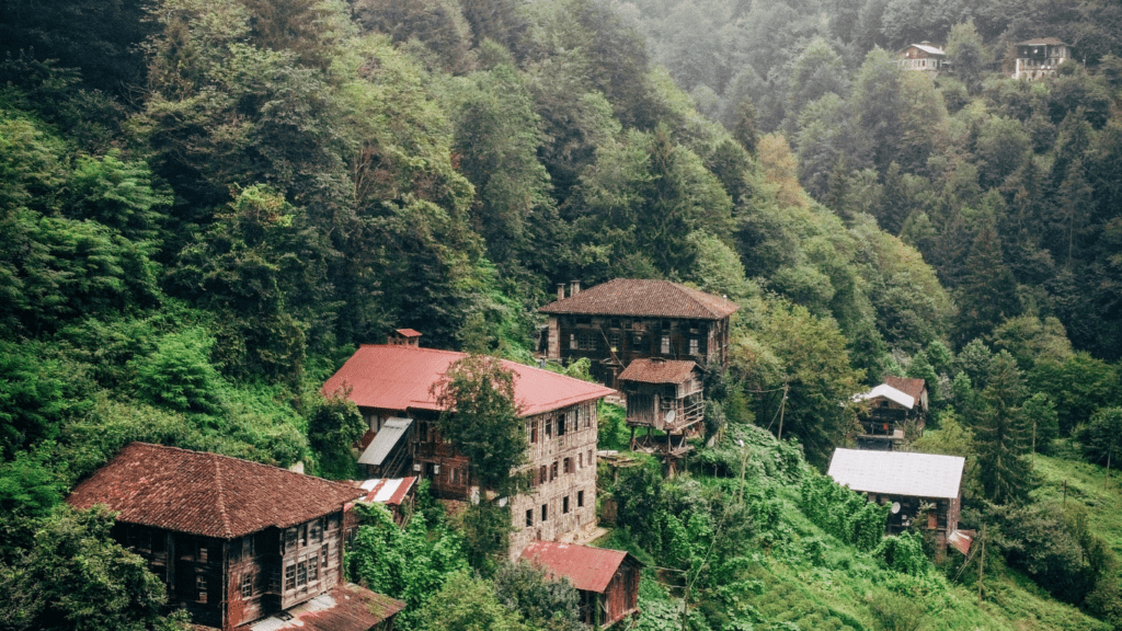 a house in the hills