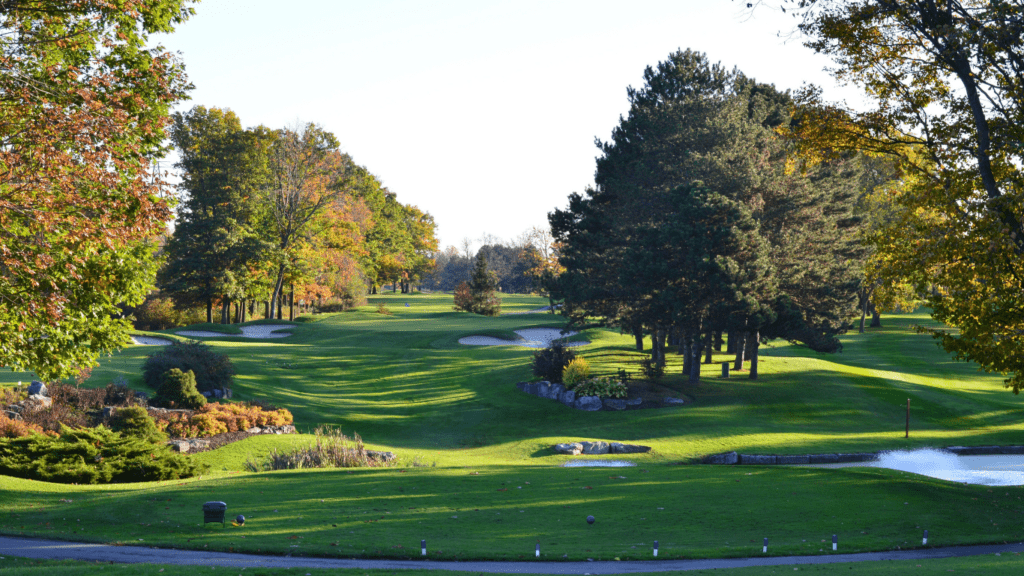 image of a golf course