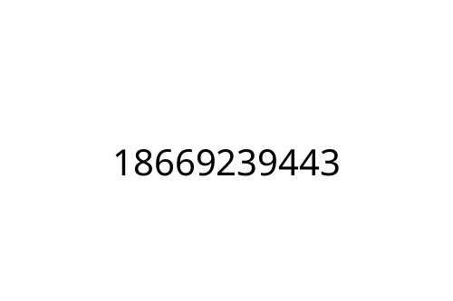 18669239443