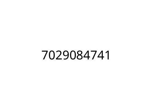 7029084741