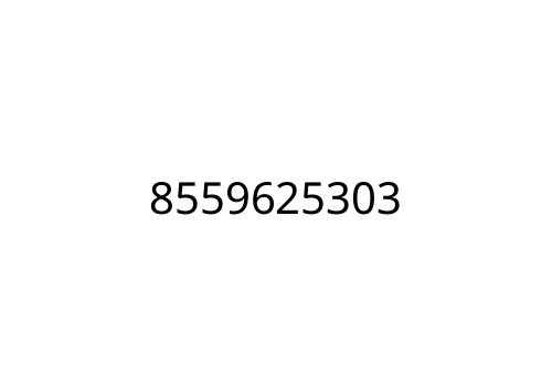8559625303