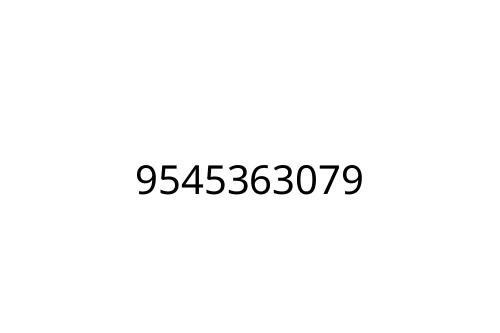 9545363079
