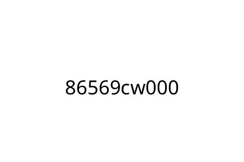 86569cw000