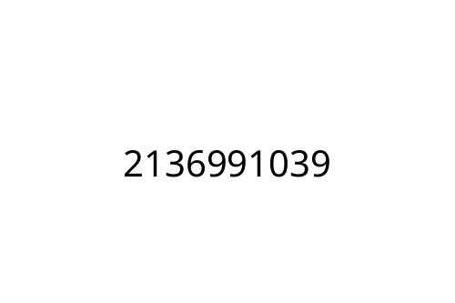 2136991039