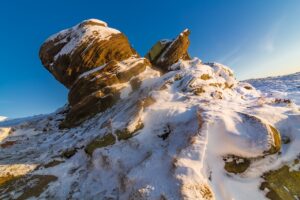 dmso face wrinkles before and after