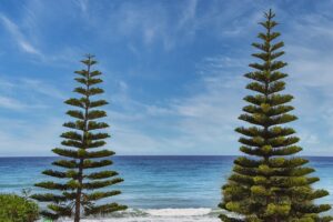 elenas site thesoundstour