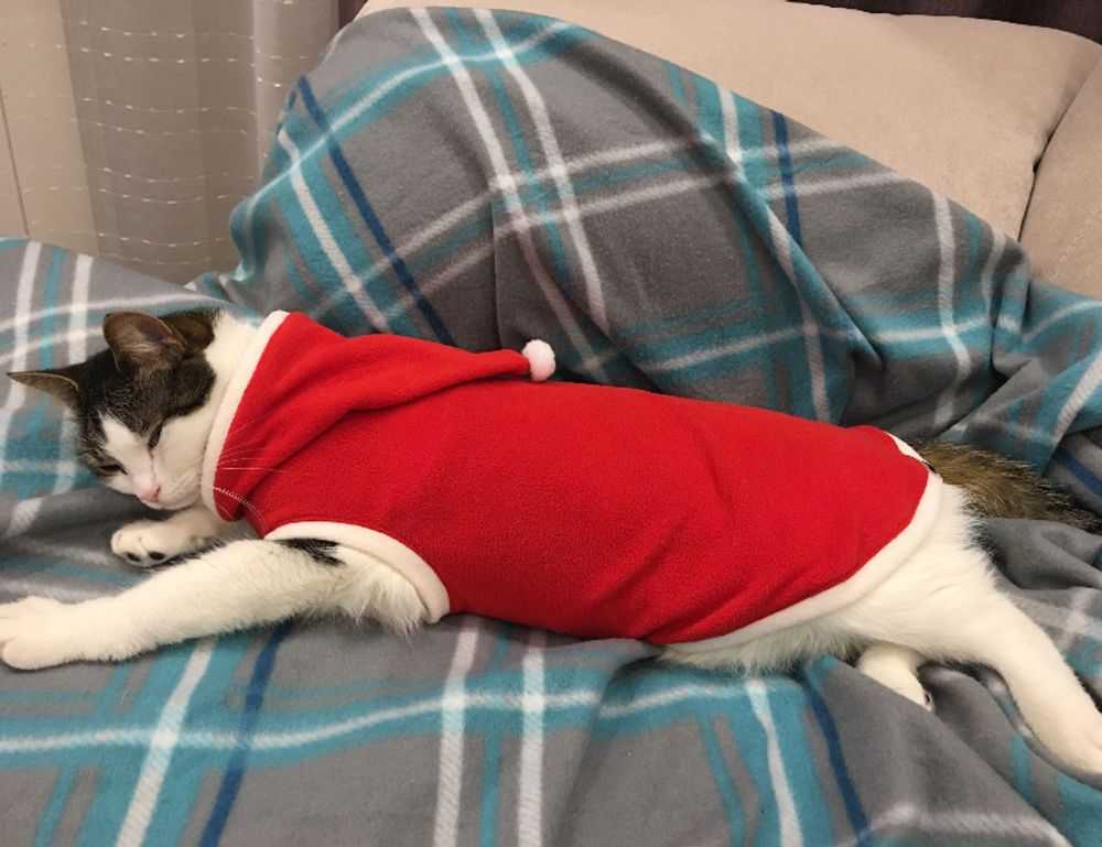 can you reuse vacuum seal bags livpristvac