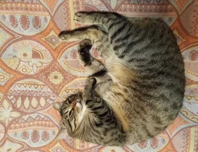 decoration advice kdadesignology