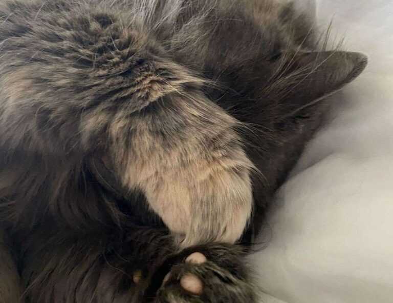 decoration kdadesignology