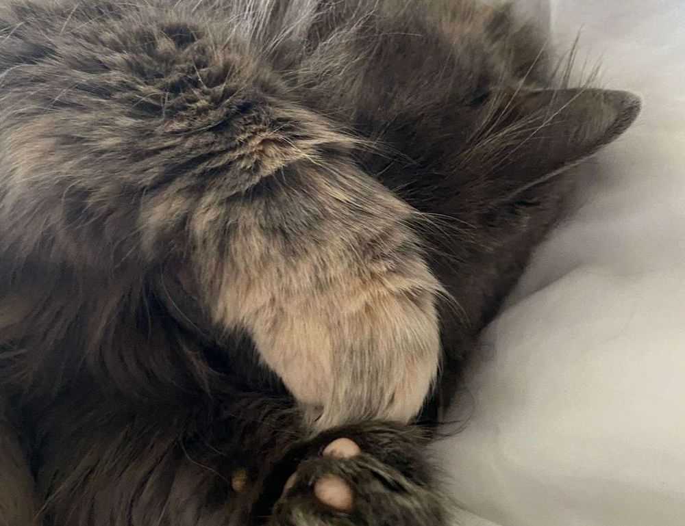 decoration kdadesignology