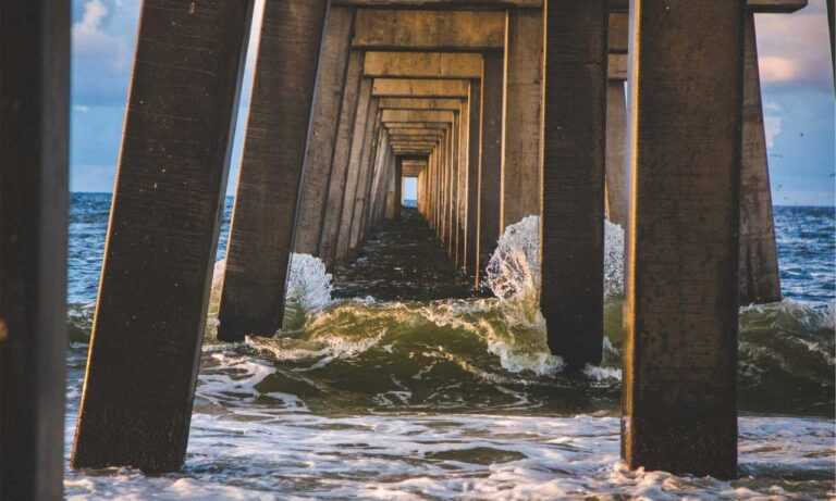 designing yards kdagardenation