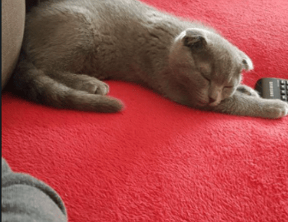 drhextreriorly exterior design by drhomey