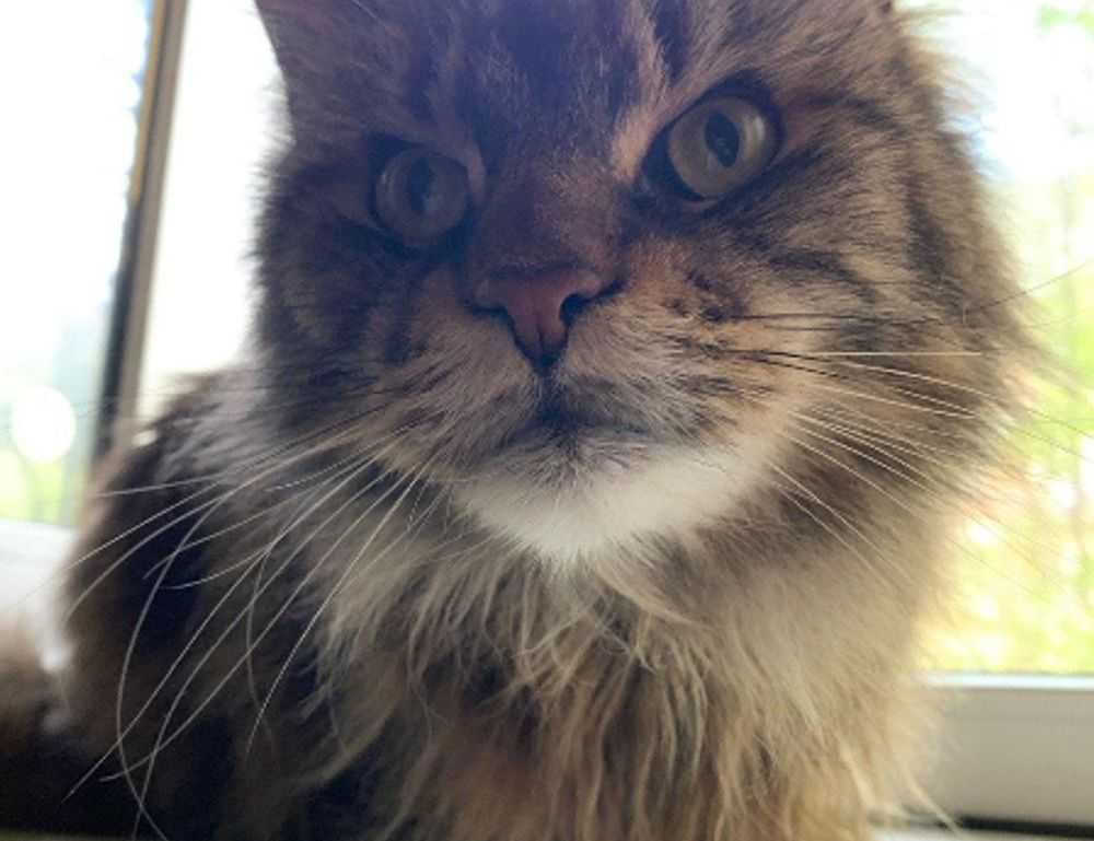 exterior design drhextreriorly