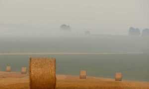 garden decoration kdalandscapetion