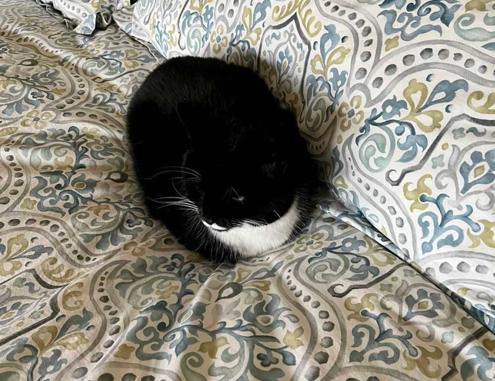 general home tricks mrshomegen