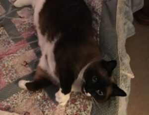 handy tips drhandybility