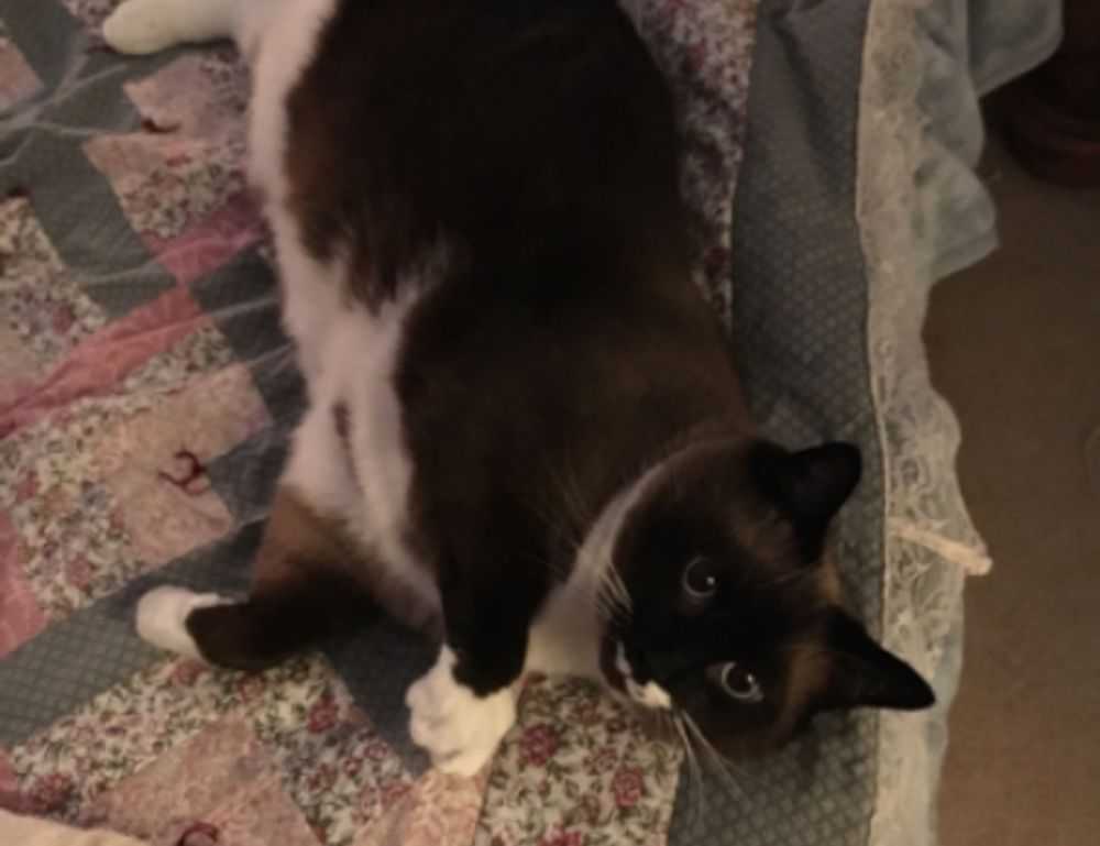 handy tips drhandybility