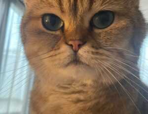 home exterior upgrade homemendous