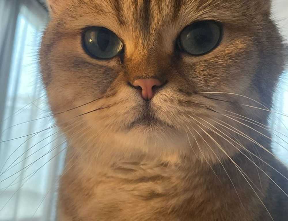 home exterior upgrade homemendous