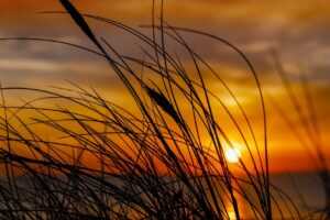 house renovation advice miprenovate