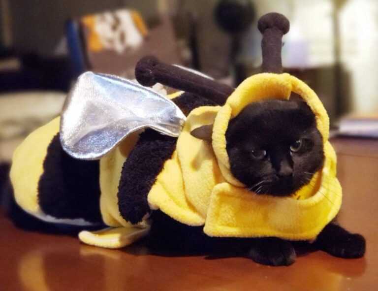 how interior design works mintpalment