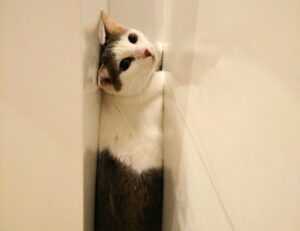 how to make garden decorations kdalandscapetion