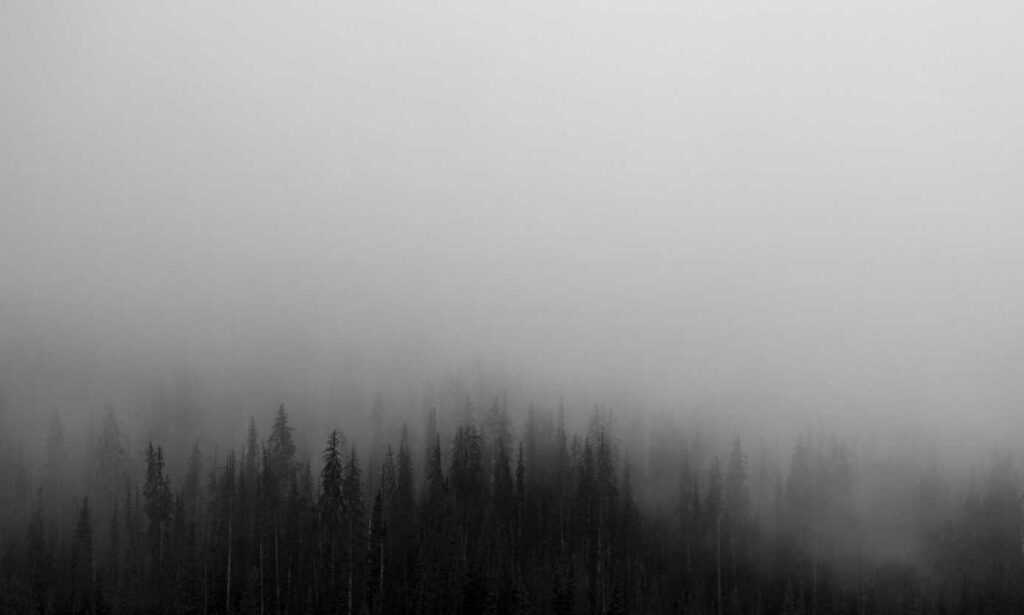 how to set up my garden homemendous