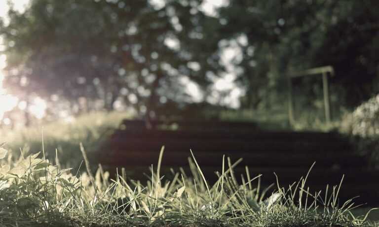 how to upgrade my garden homemendous