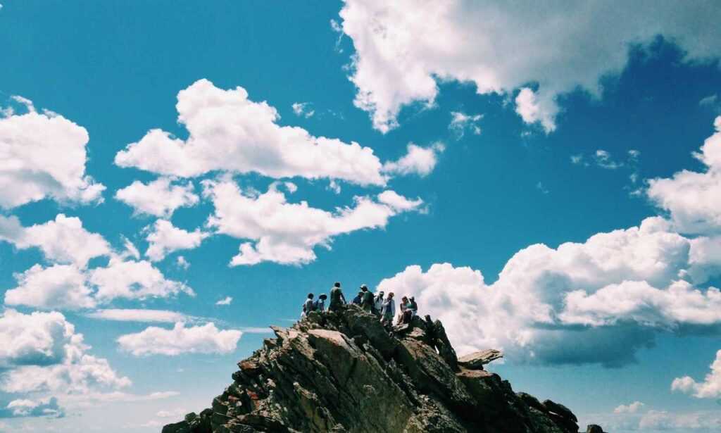 interior advice mintpalhouse