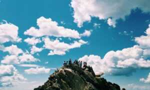 interior advice mintpalhouse