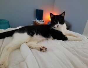 interior design kdadesignology