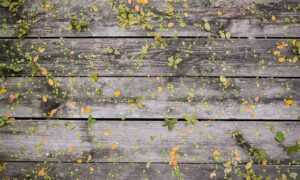 landscaping guide kdalandscapetion