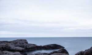 landscaping kdalandscapetion