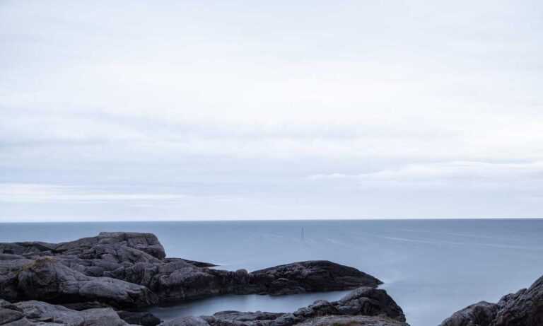 landscaping kdalandscapetion