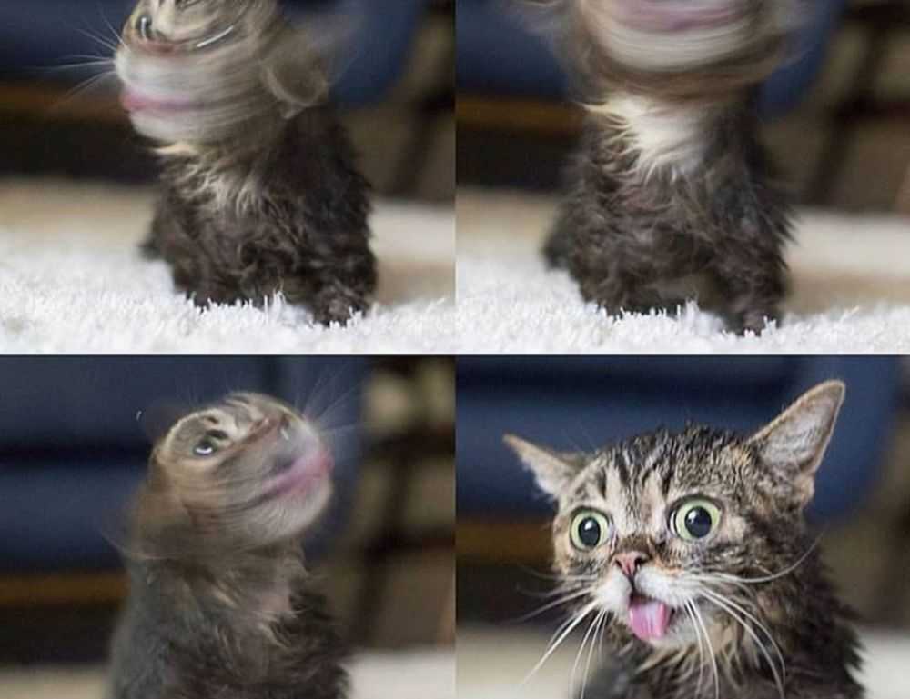 livpristvac home hacks from livingpristine