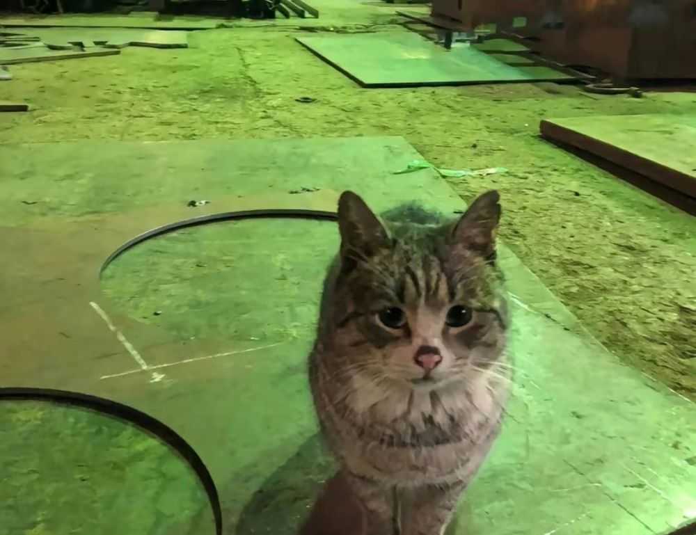 mintpalment home upgrades from myinteriorpalace