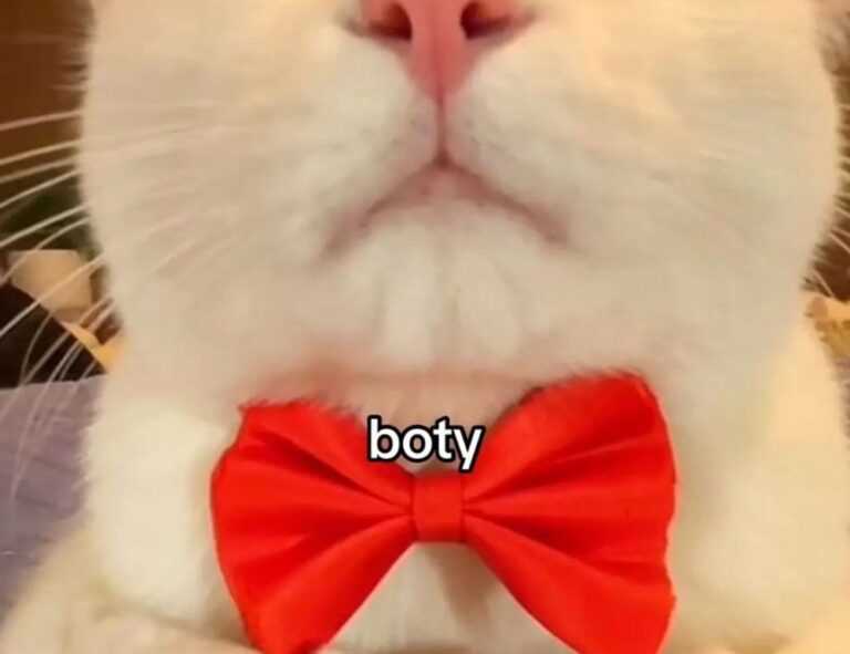 online furniture selection thtintdesign