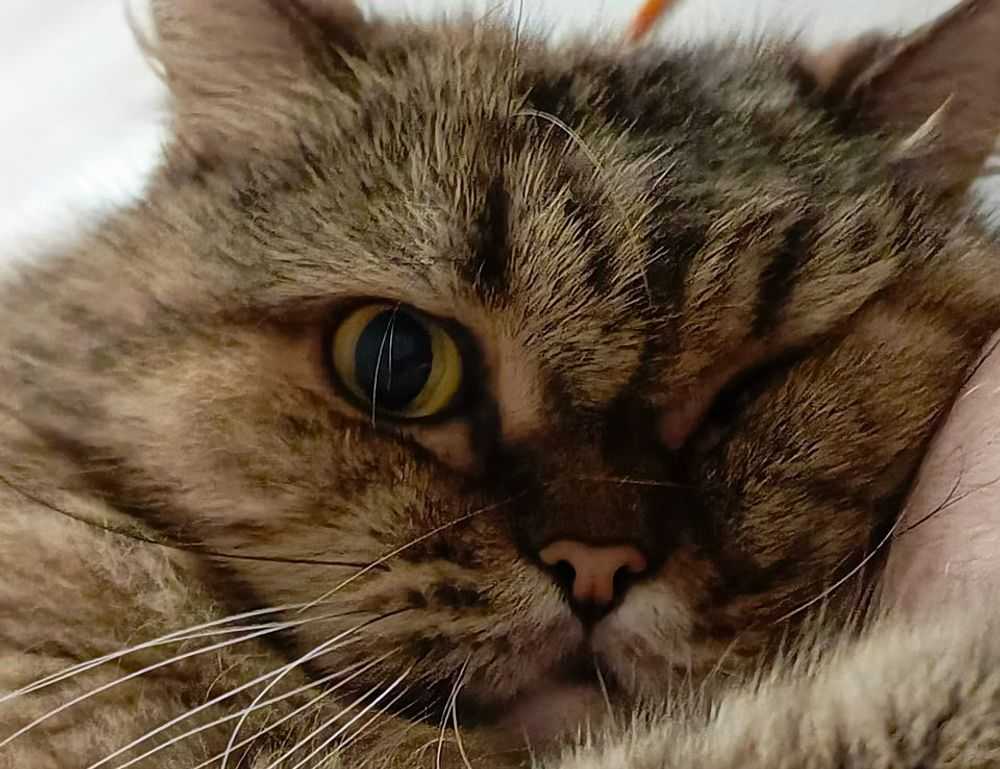 outer home design drhextreriorly