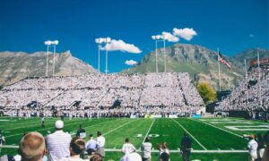 what are the zydaisis disease condition