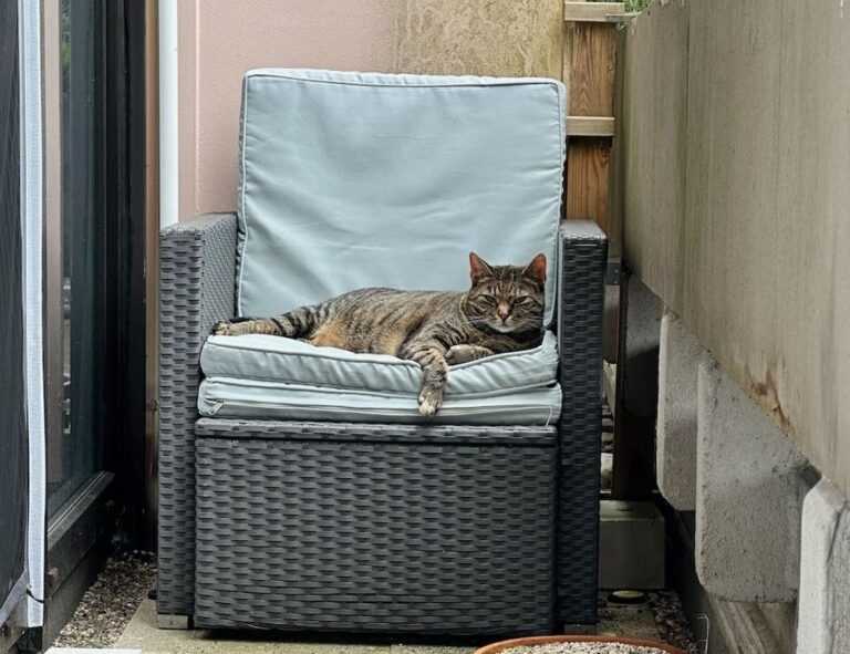 what do exterior designers do drhextreriorly