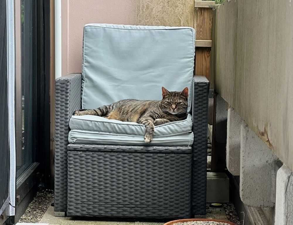 what do exterior designers do drhextreriorly