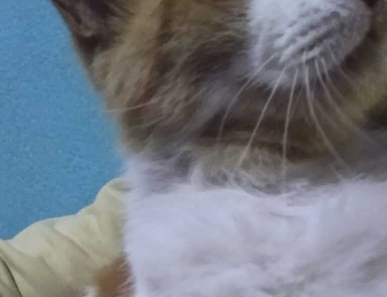 what is the most important thing in interior design mintpalment