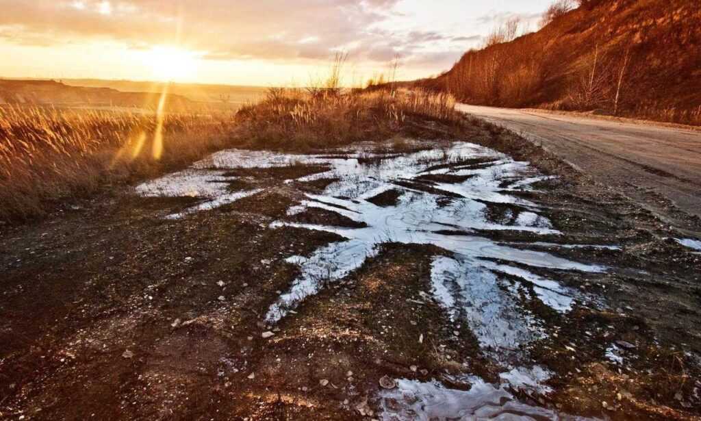 where to buy shark vacuum livpristvac