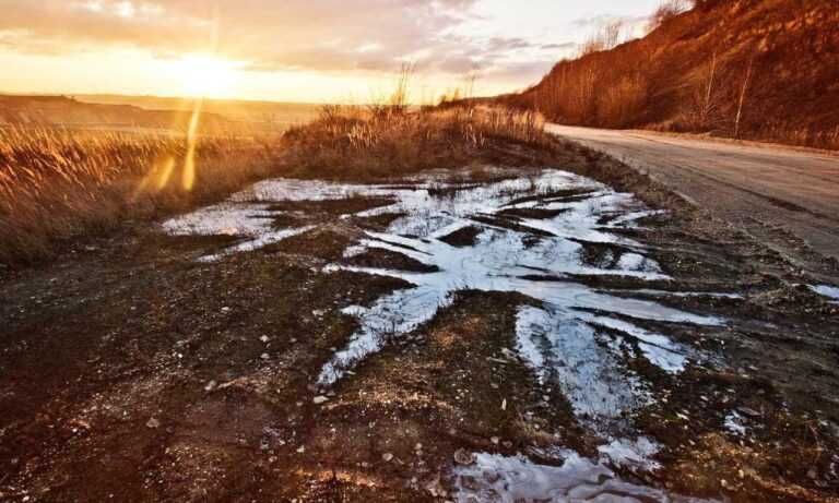 where to buy shark vacuum livpristvac