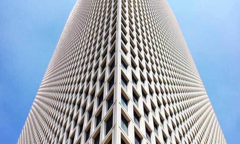 which direction should your garden face kdalandscapetion