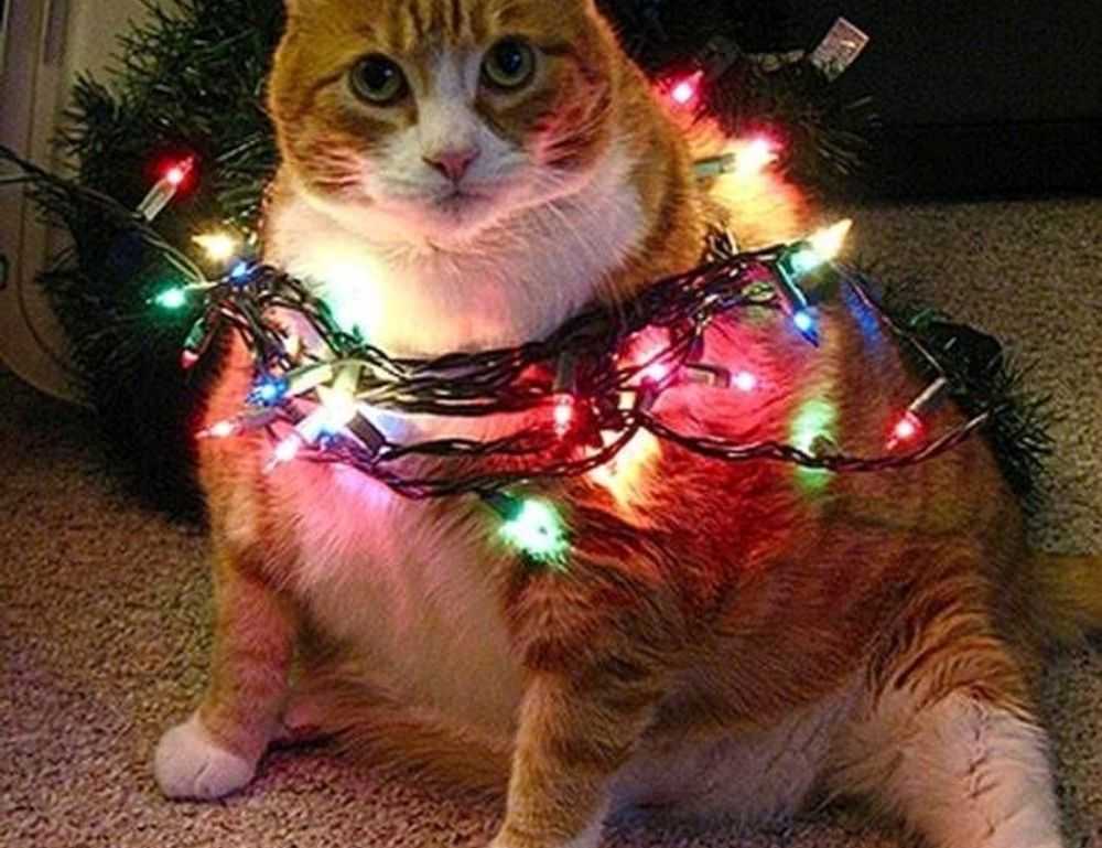 which interior design style are you kdadesignology