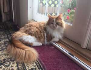 why should i install a vessel sink thtintdesign