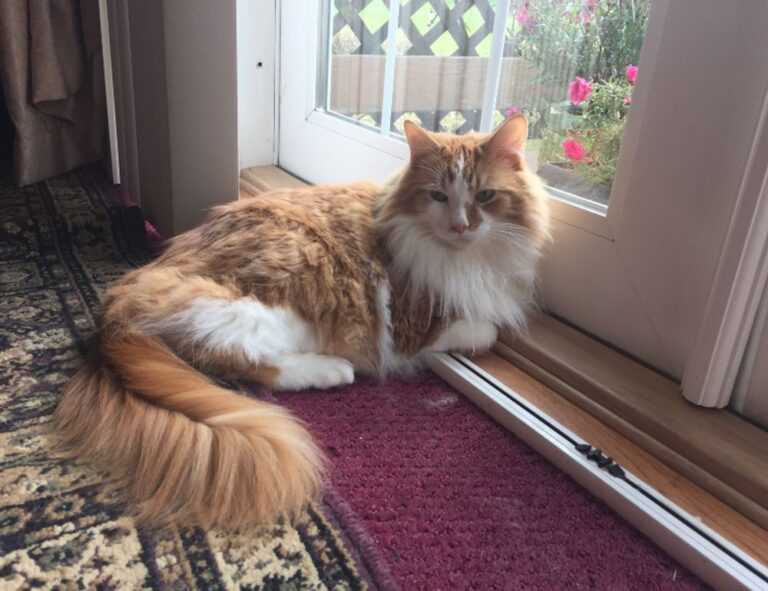 why should i install a vessel sink thtintdesign